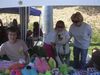 /images/events/1/BARK IN THE PARK 2007 018-thumb.jpg